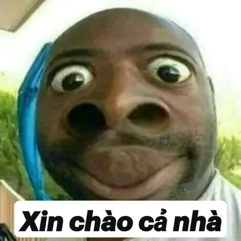 meme chào 30