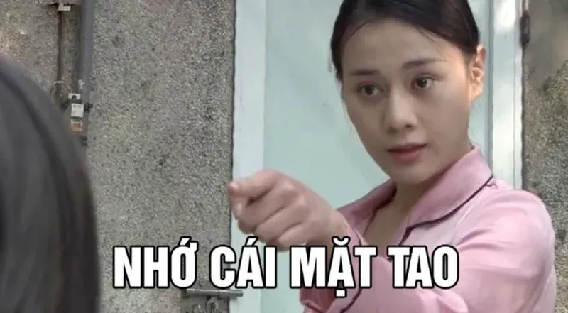 meme chỉ tay 17