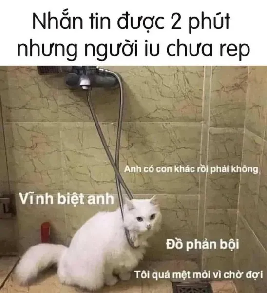 meme chờ đợi 4