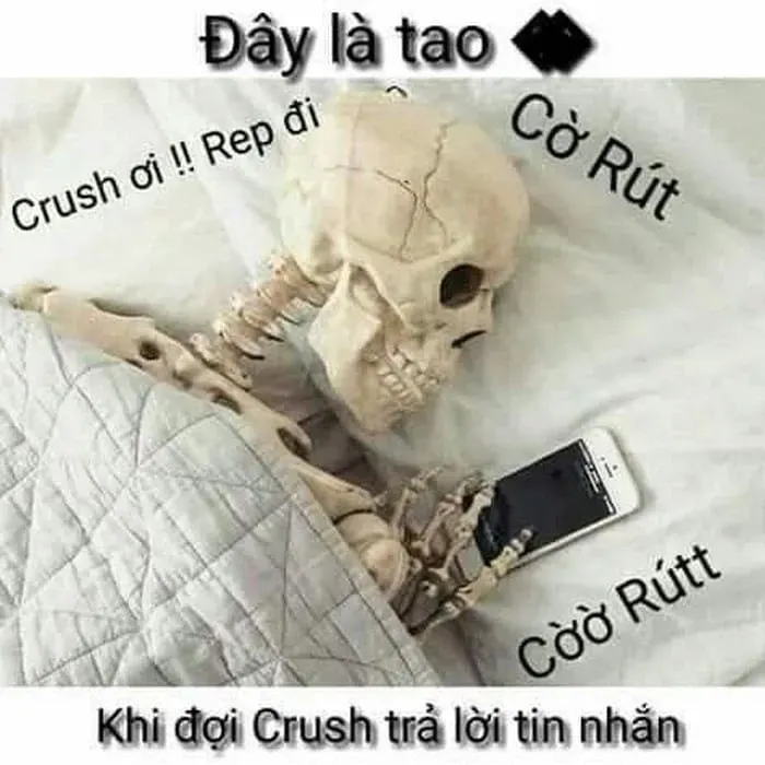 meme chờ đợi 6