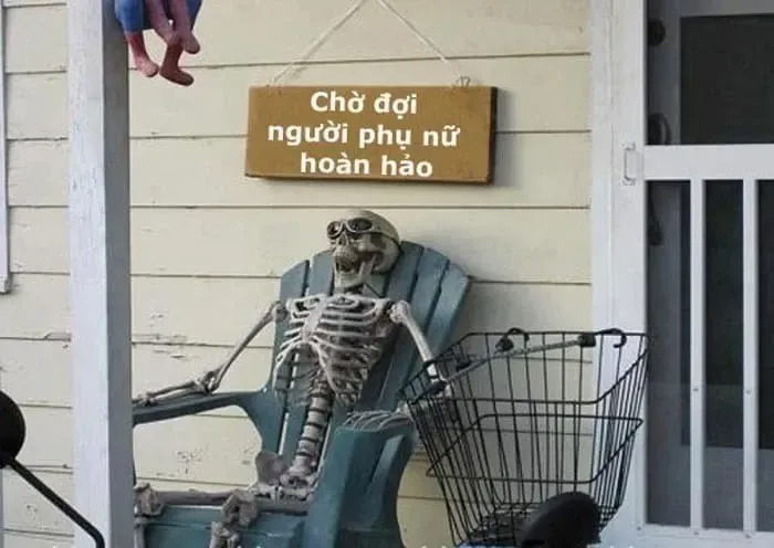 meme chờ đợi 11