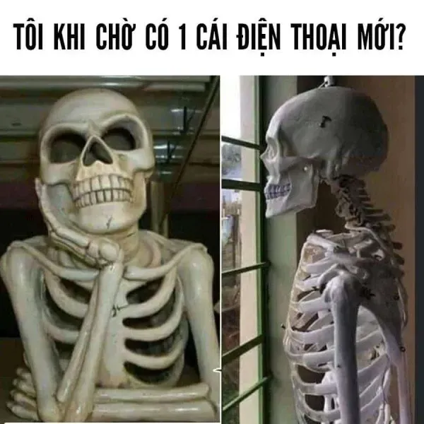 meme chờ đợi 16