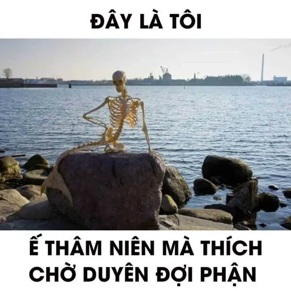 meme chờ đợi 17