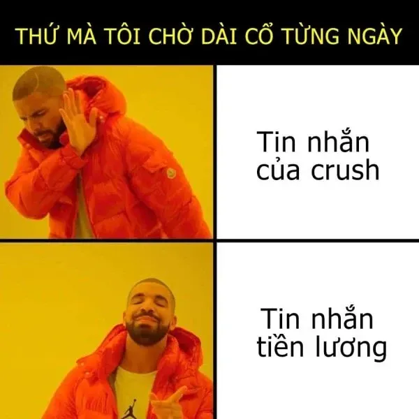 meme chờ đợi 24