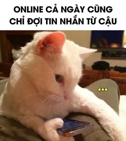 meme chờ đợi 31