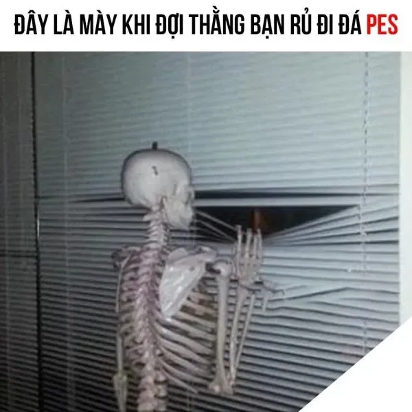 meme chờ đợi 34