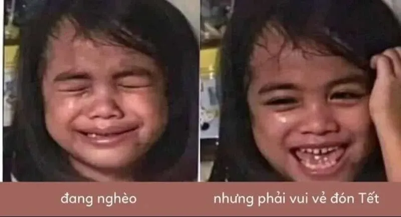 meme chúc mừng năm mới 23