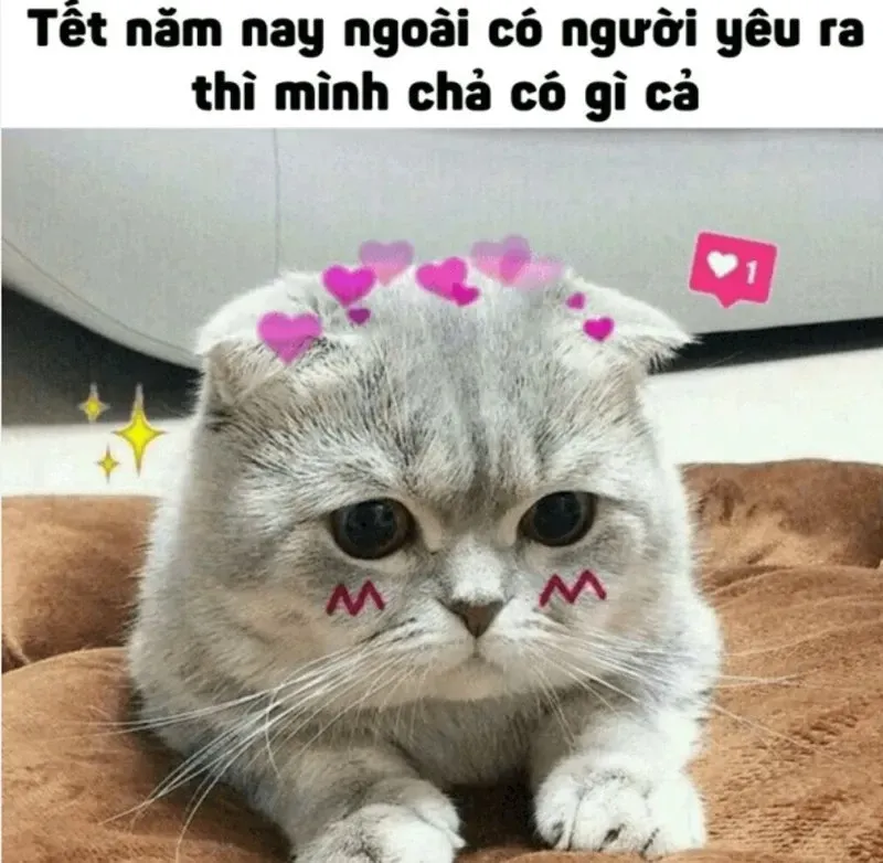 meme chúc mừng năm mới 39