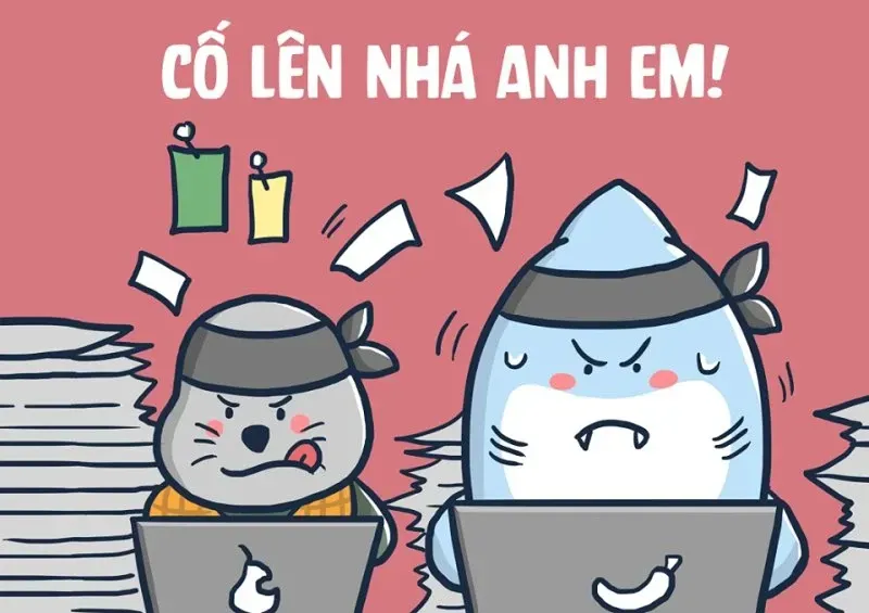 meme cố lên 28