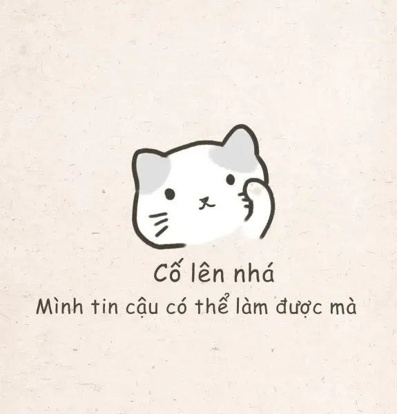 meme cố lên 29