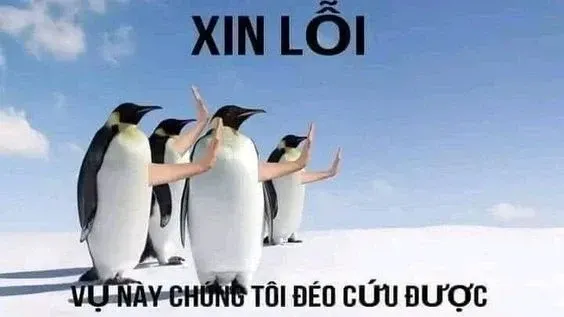 meme còn cứu được 11