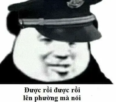 meme công an 17