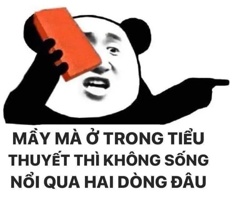 meme đấm 17