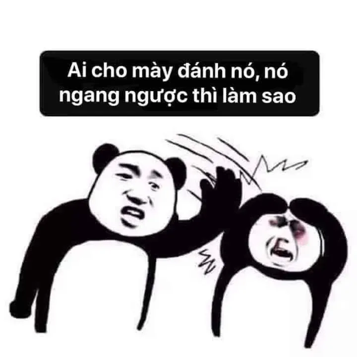 meme đấm nhau 19