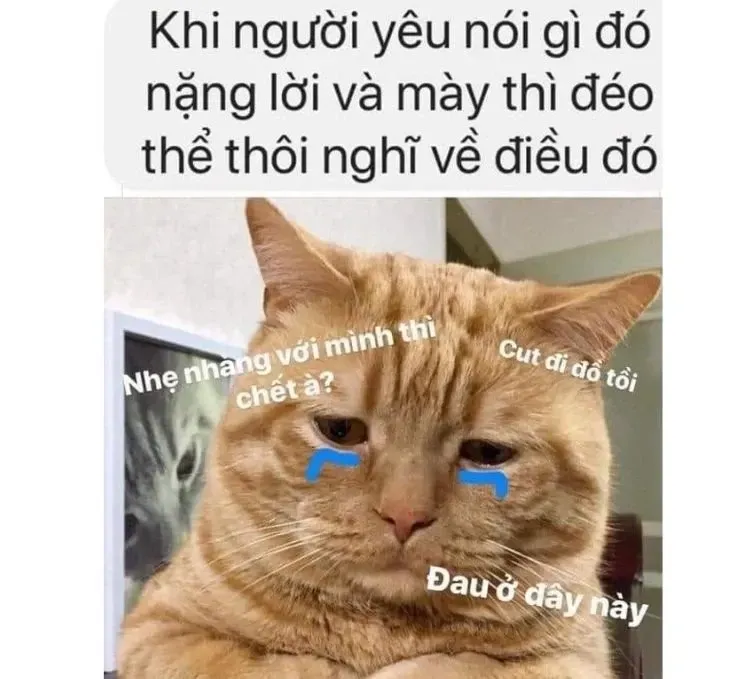 meme đau ở đây này 6