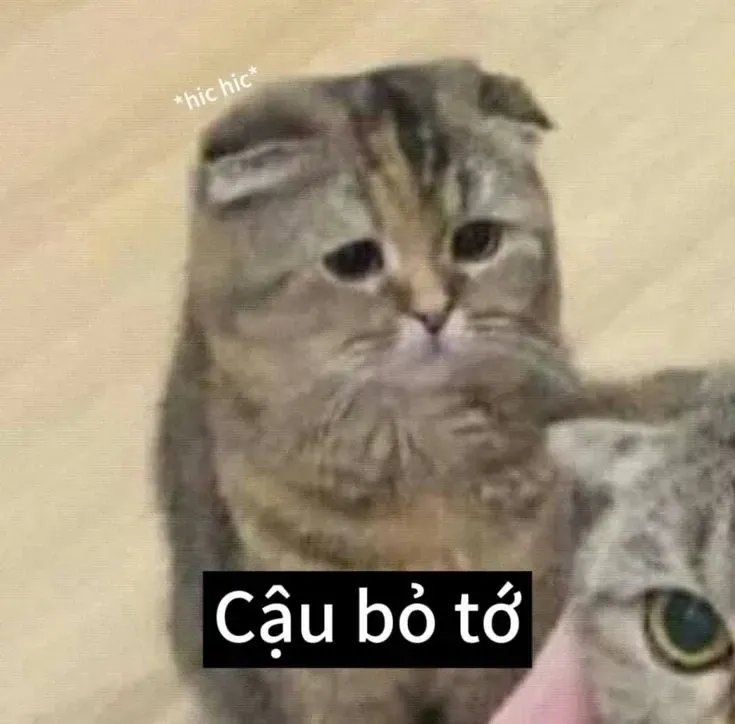 meme đau ở đây này 31