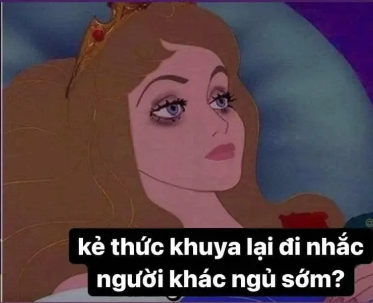 meme đi ngủ 9