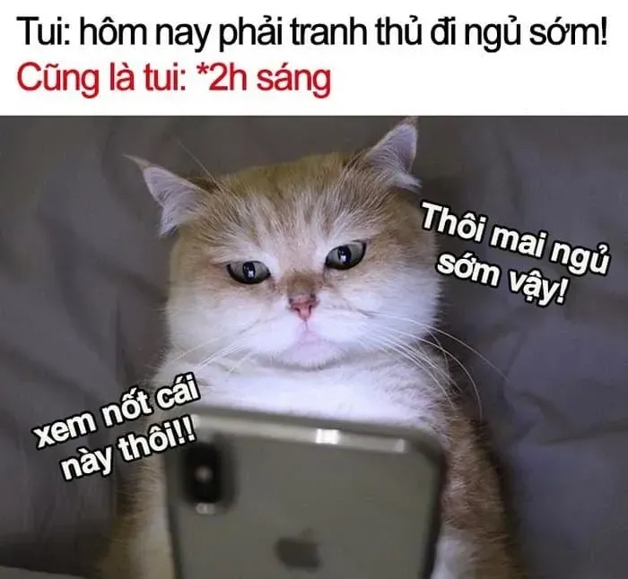 meme đi ngủ 11