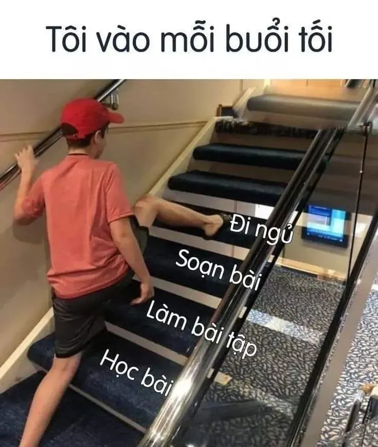 meme đi ngủ 26