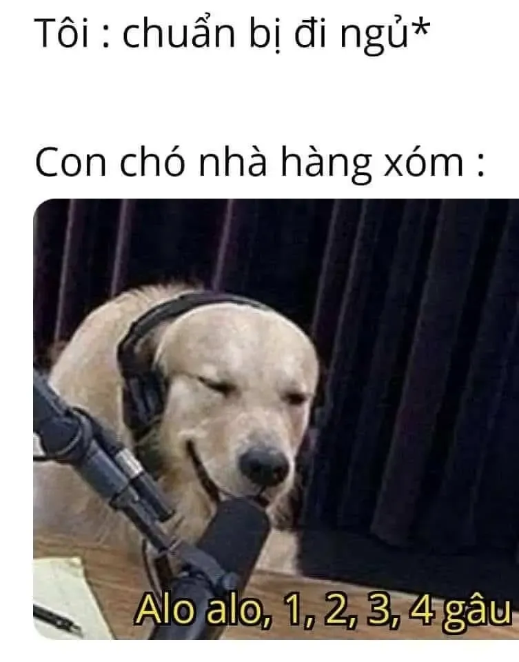 meme đi ngủ 27