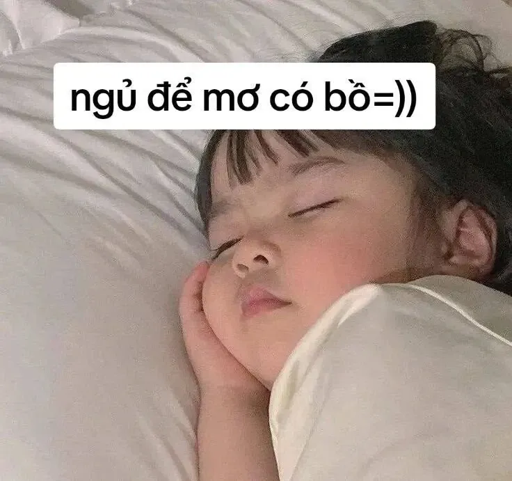 meme đi ngủ 35