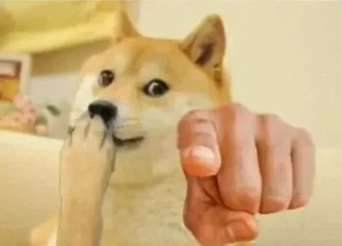 meme dog 7