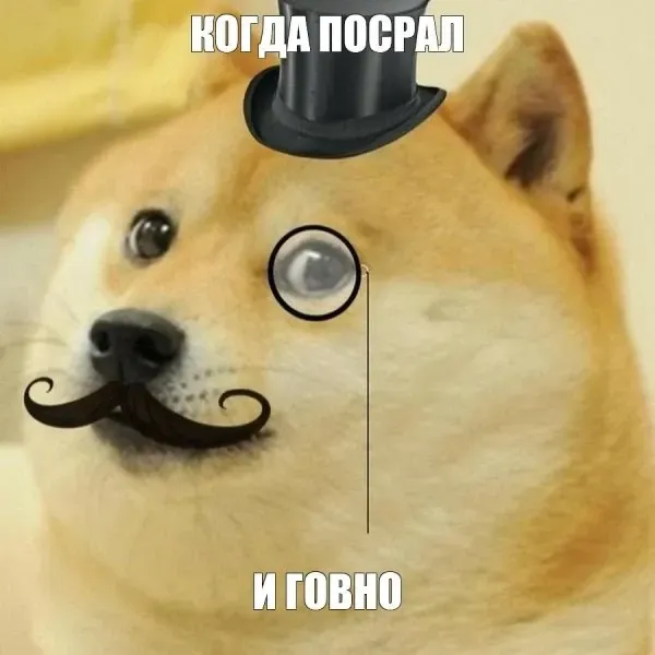 meme dog 22