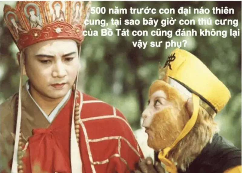 meme đường tăng 24