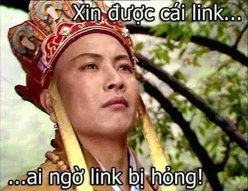 meme đường tăng 28