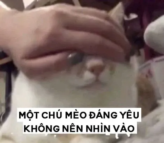 meme gục ngã 12