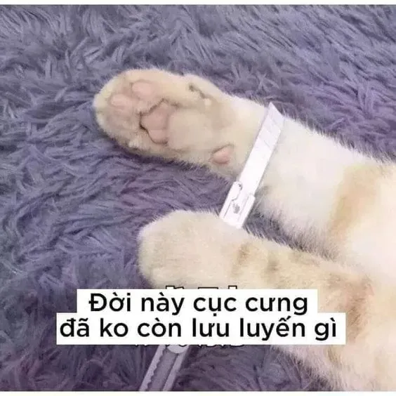 meme gục ngã 13