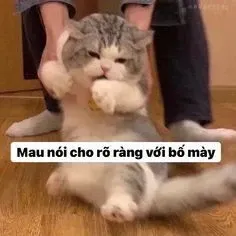 meme gục ngã 16