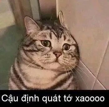 meme gục ngã 19