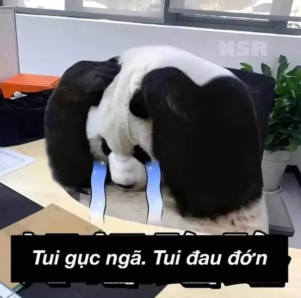 meme gục ngã 27