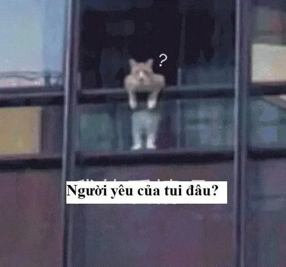 meme gục ngã 34