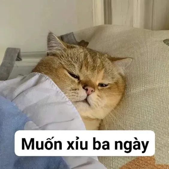 meme gục ngã 43