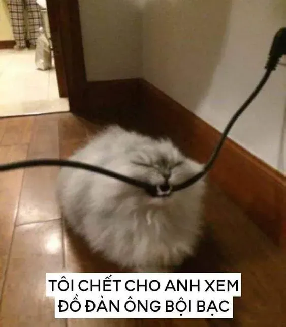 meme gục ngã 45