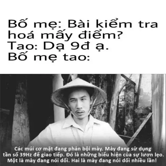 meme học bài 11