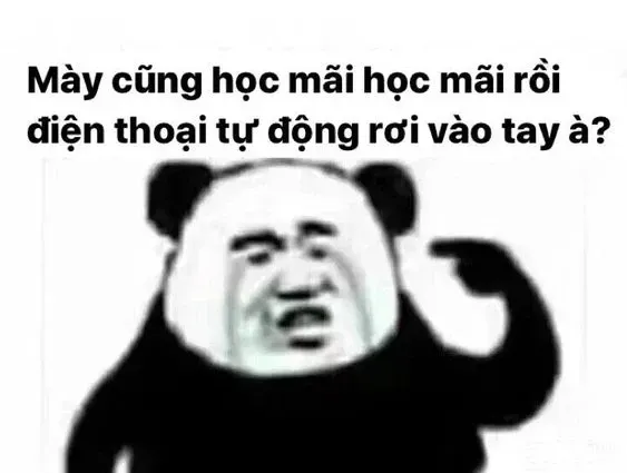 meme học bài 21