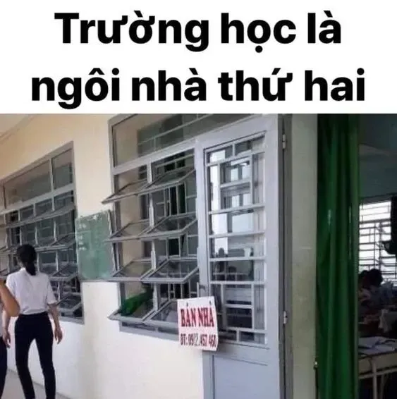 meme học bài 22