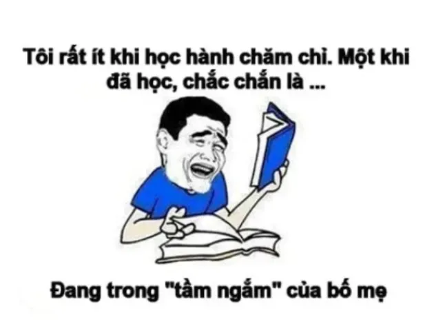 meme học bài 40