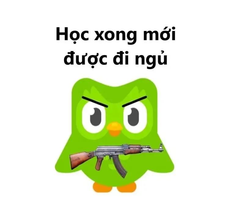 meme học bài 44