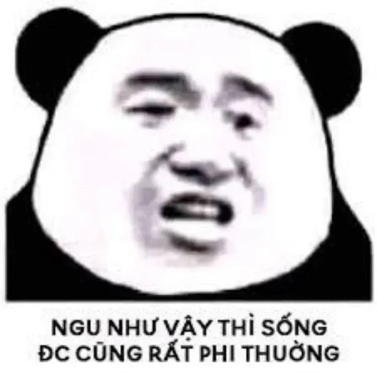 meme khịa 13