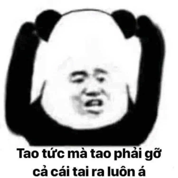 meme khịa 22