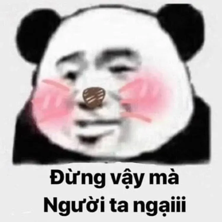 meme khịa 47