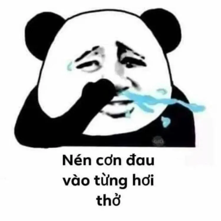 meme khịa 52