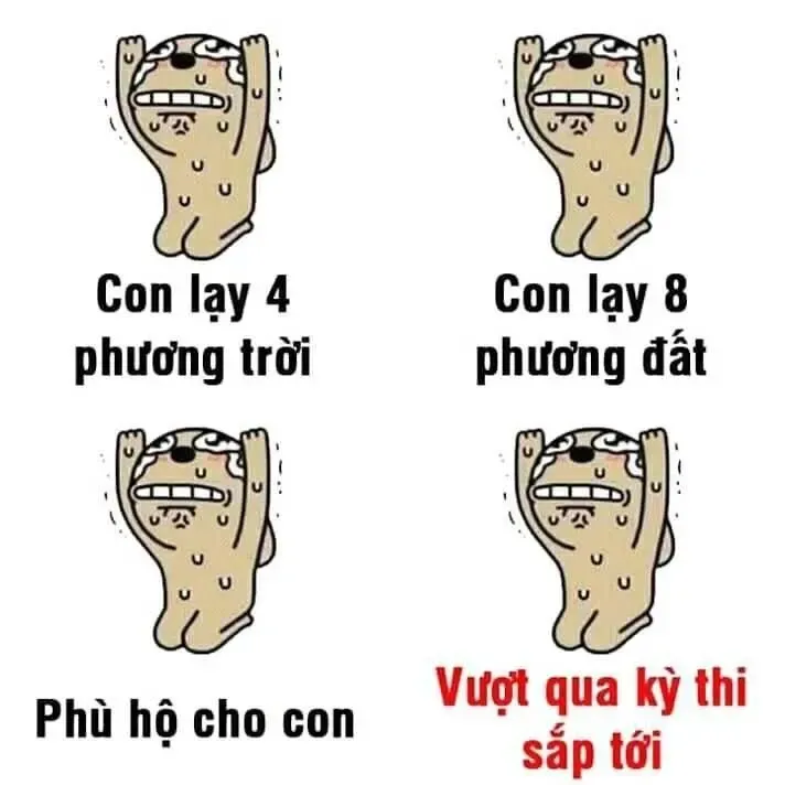 meme lạy 23