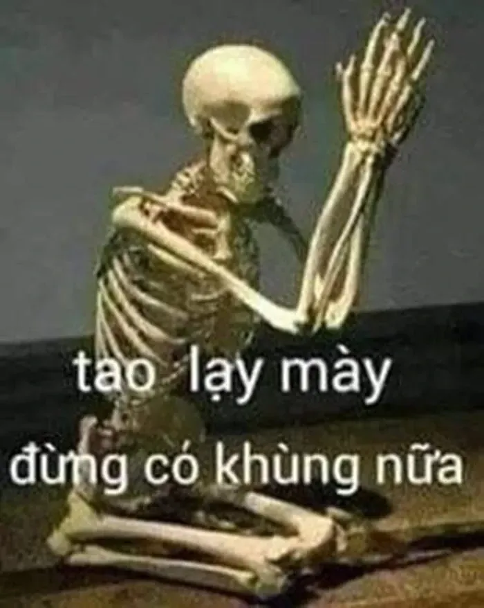 meme lạy 27