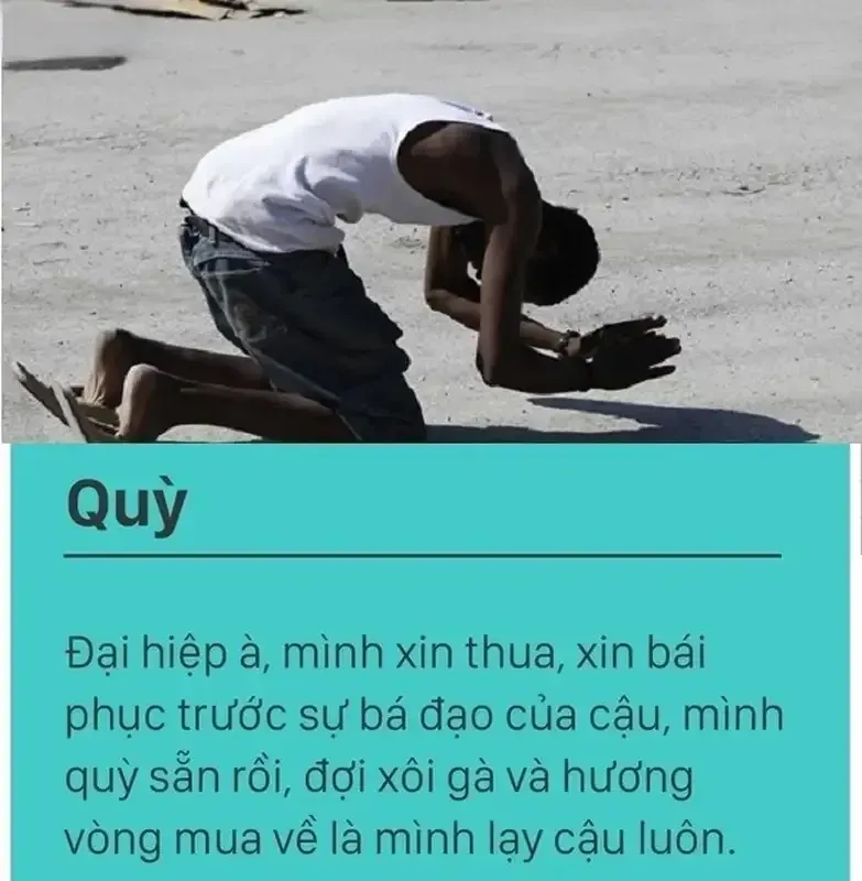 meme lạy 41