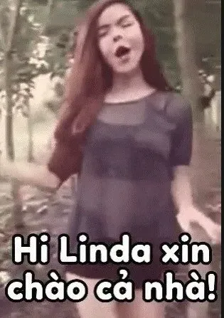 meme linda 2